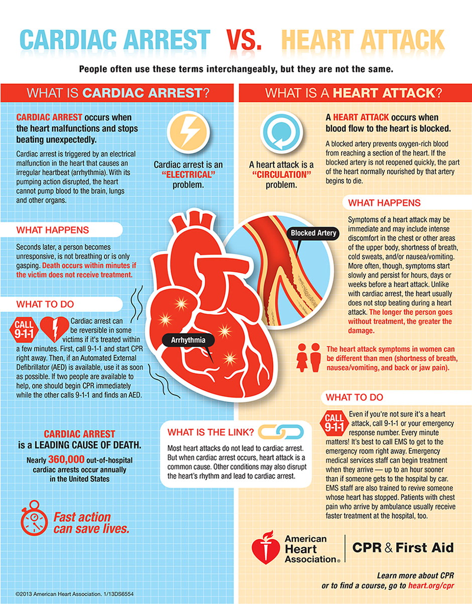 Cardiology 101: Understand and protect your heart