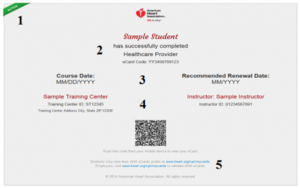 sample card numbers_preview